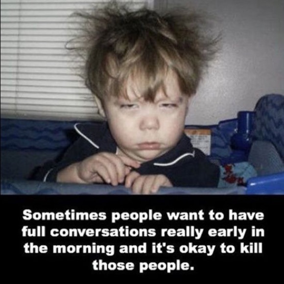 Meet your Posher, Allie - Picture 2 of 8